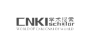 CNKI Scholar